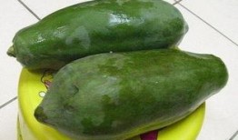 今日吃瓜每日必吃 明星资讯号是什么